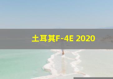 土耳其F-4E 2020